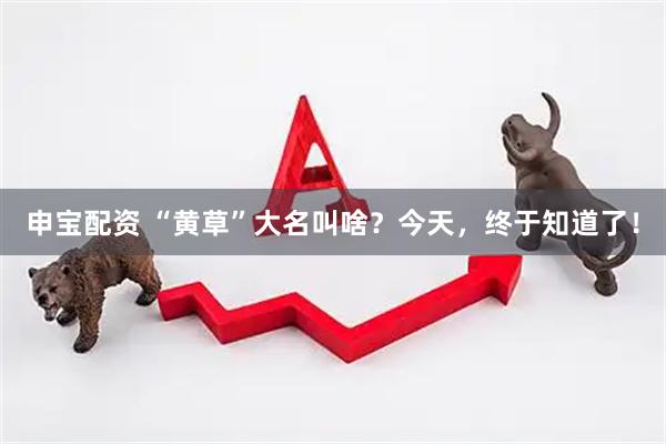 申宝配资 “黄草”大名叫啥？今天，终于知道了！