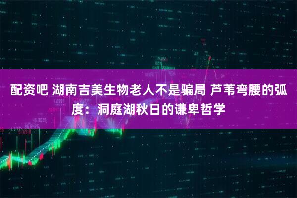 配资吧 湖南吉美生物老人不是骗局 芦苇弯腰的弧度：洞庭湖秋日的谦卑哲学
