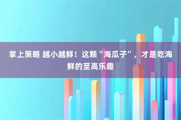 掌上策略 越小越鲜！这颗“海瓜子”，才是吃海鲜的至高乐趣