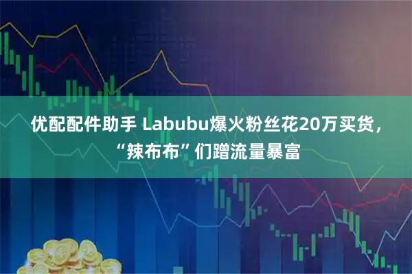 优配配件助手 Labubu爆火粉丝花20万买货，“辣布布”们蹭流量暴富