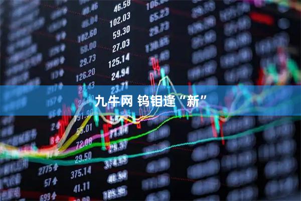九牛网 钨钼逢“新”