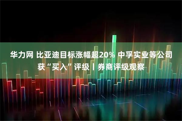 华力网 比亚迪目标涨幅超20% 中孚实业等公司获“买入”评级丨券商评级观察