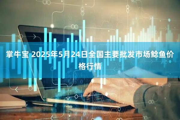 掌牛宝 2025年5月24日全国主要批发市场鲶鱼价格行情