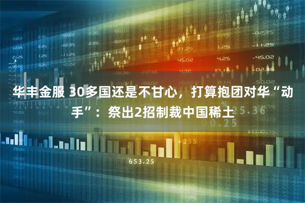 华丰金服 30多国还是不甘心，打算抱团对华“动手”：祭出2招制裁中国稀土