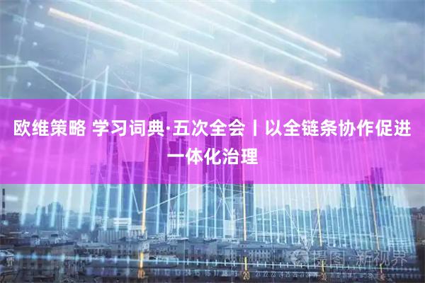 欧维策略 学习词典·五次全会丨以全链条协作促进一体化治理