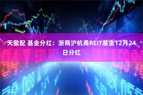 天盈配 基金分红：浙商沪杭甬REIT基金12月24日分红