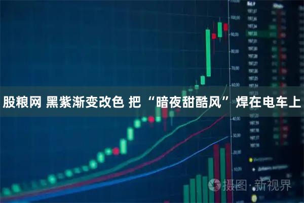 股粮网 黑紫渐变改色 把 “暗夜甜酷风” 焊在电车上