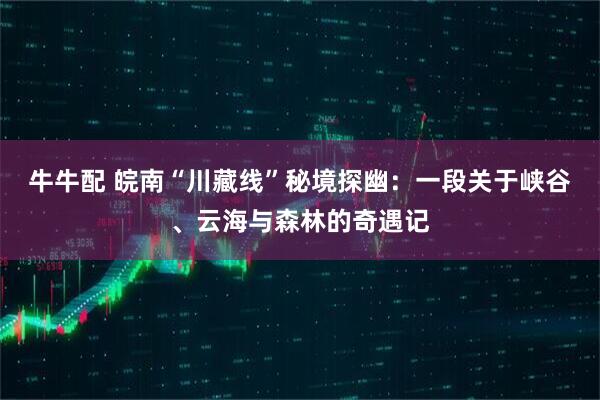 牛牛配 皖南“川藏线”秘境探幽：一段关于峡谷、云海与森林的奇遇记